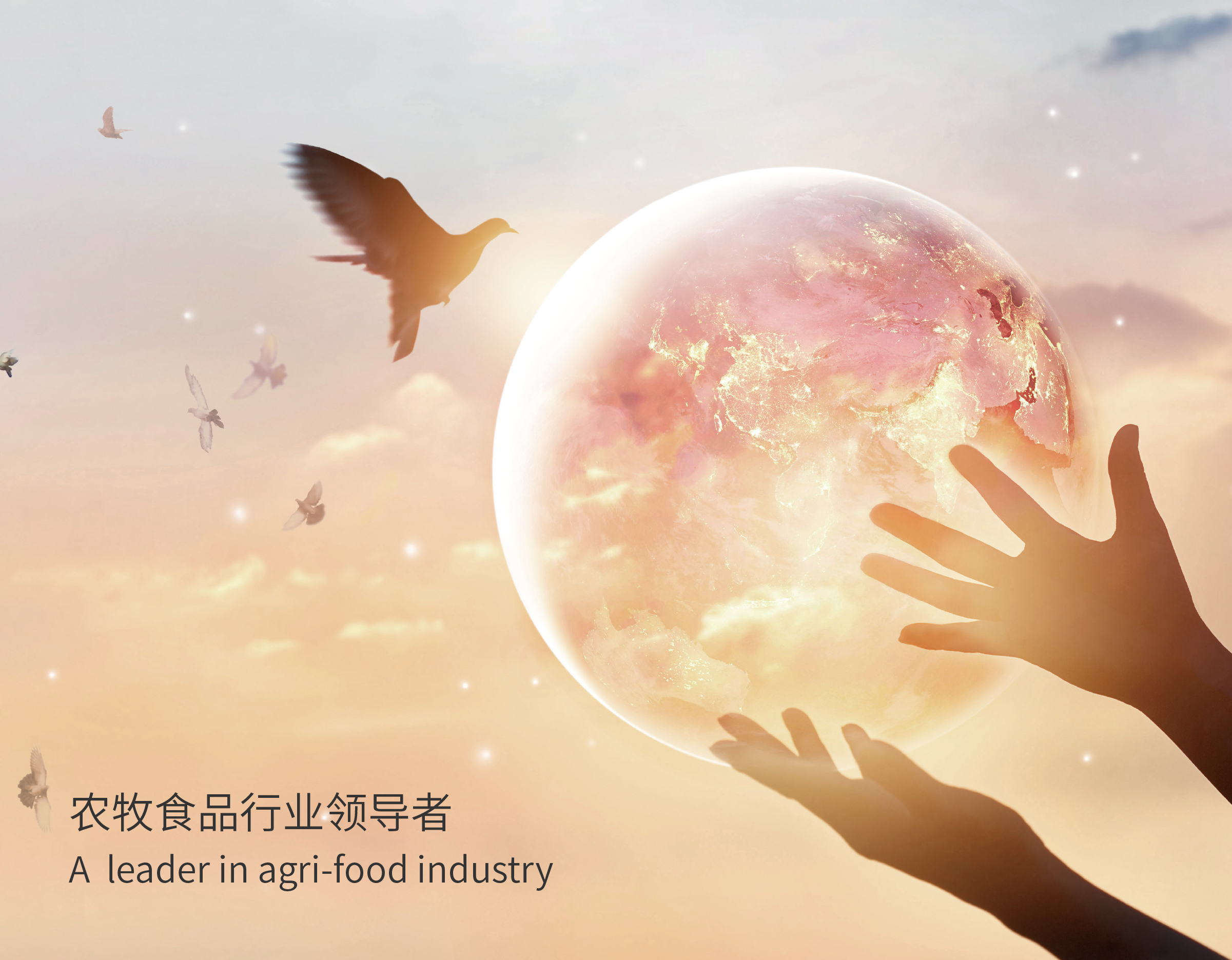 易游app官方下载