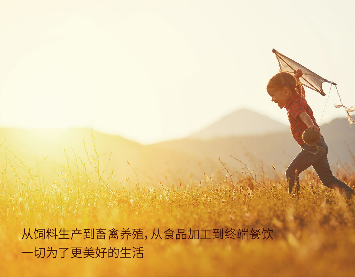易游体育app官网
