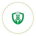易游app官方下载
